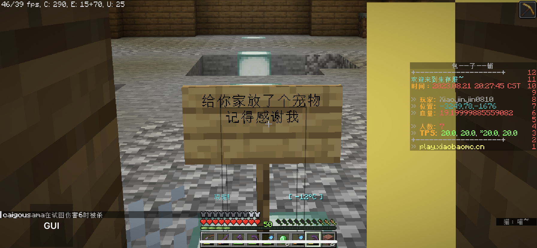 会是什么宠物呢?